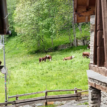 Apartament Aux Pieds Du Malatra' 1